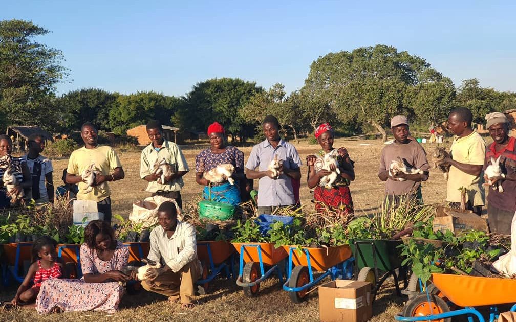 IS FOOD FORESTS THE SOLUTION FOR HUNGER IN MALAWI?