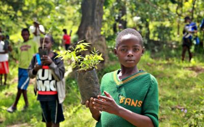 Planting for the Future: Permaculture’s Institute Paradise (PPI) Mission to Plant 100 Million Trees and Train 100,000 People by 2025