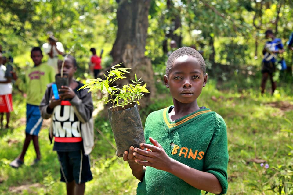Planting for the Future: Permaculture’s Institute Paradise (PPI) Mission to Plant 100 Million Trees and Train 100,000 People by 2025