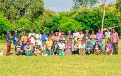 Empowering Farmers in Malawi with Sustainable and Holistic Farming Practices: The Success of the Food Forest Project
