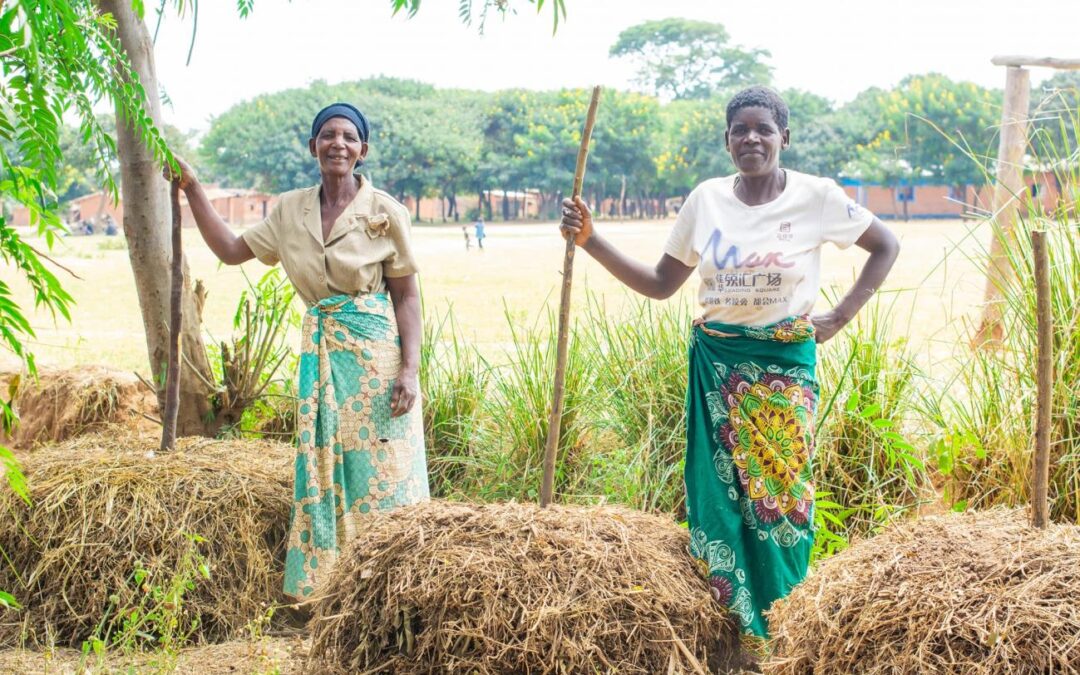 Empowering Farmers in Malawi: A Sustainable Approach to Addressing Hunger and Poverty | May 2023 Update