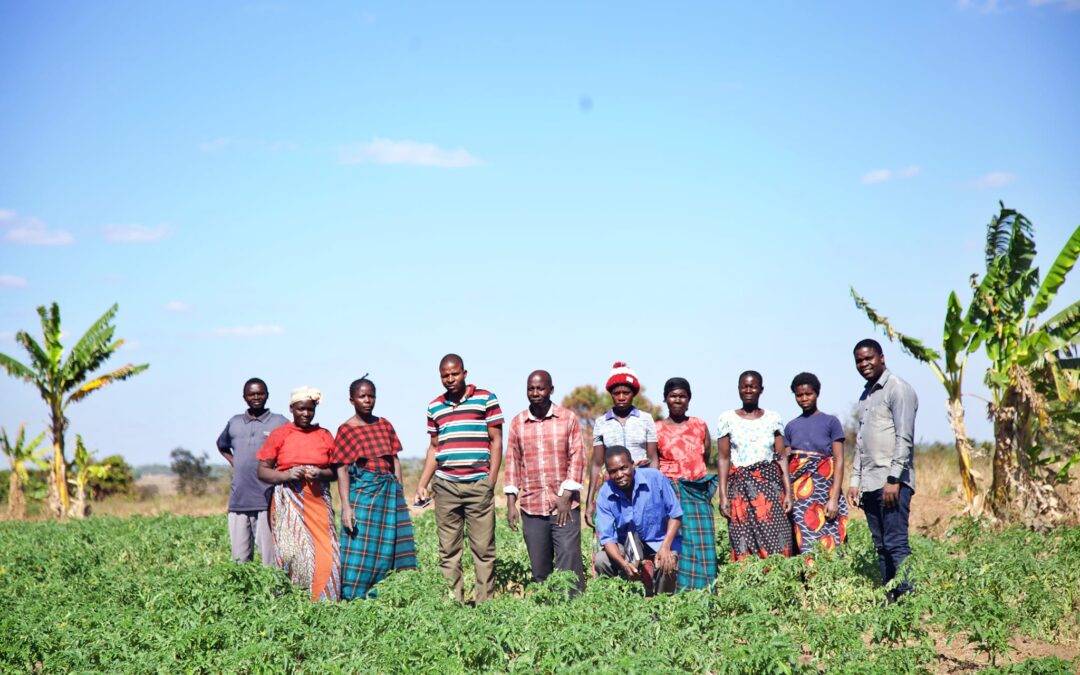 Empowering Sustainability: Nguwe Community’s Permaculture Gardens Flourish Post-Training
