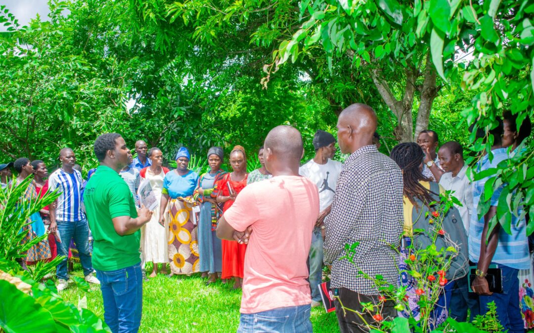 Seeds of Transformation: Malawi’s Agricultural Revolution Sprouts with 2024’s First Agro-Ecology Training