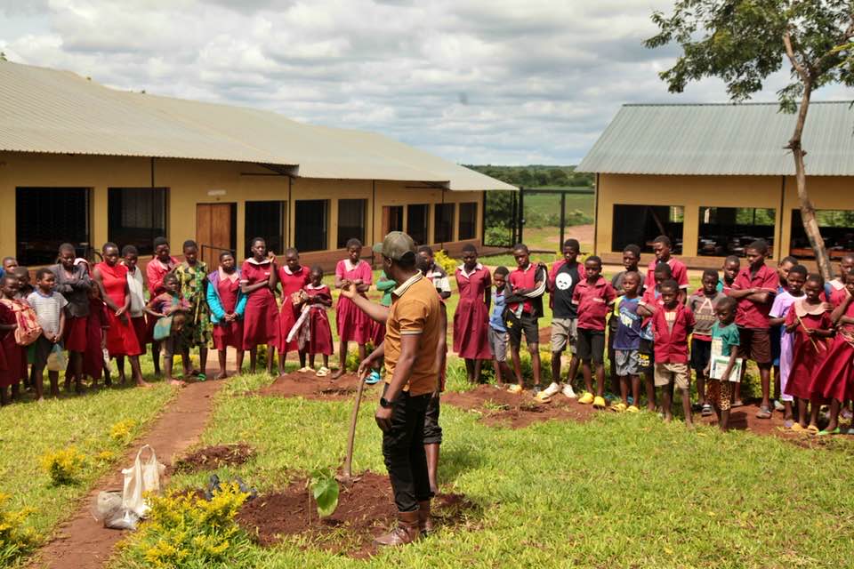 Greening the Future: A Fruitful Partnership Blossoms at Chiliza Primary School
