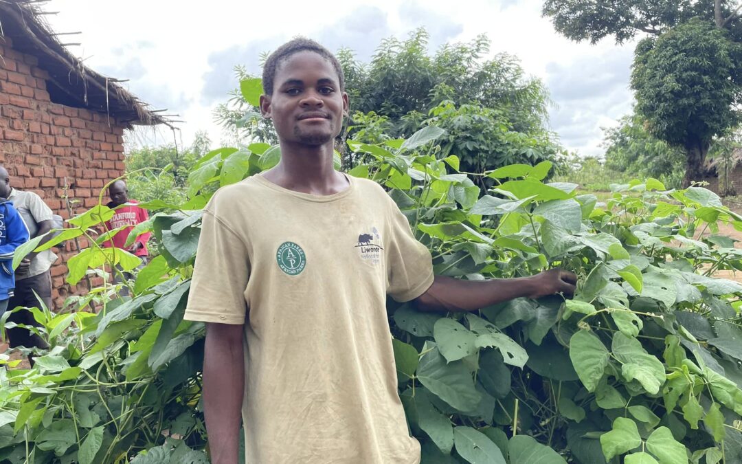 Blooming Hope: Nguwe Community Cultivates Sustainable Futures with Permaculture Gardens