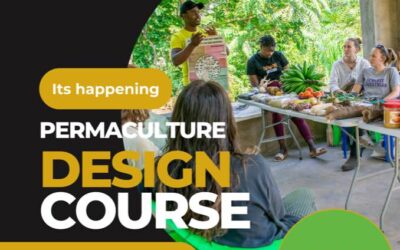 Unlock Sustainable Living: Join Our Permaculture Design Certificate Course