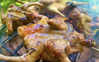 Unveiling the Culinary Delight: Farm-Fresh Grilled Pigeons