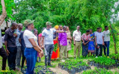 Day Four: Permaculture Training Unveils the Journey from Household to Farm Level Sustainability