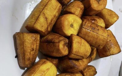 Savoring Sustainability: Plantain Prowess in Our Food Forests