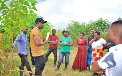 Day 4 in Madisi Dowa: Cultivating Sustainable Futures