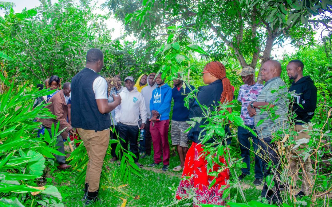 Transforming Agriculture: Agro-Ecology Training Unites Balaka and Mangochi Farmers