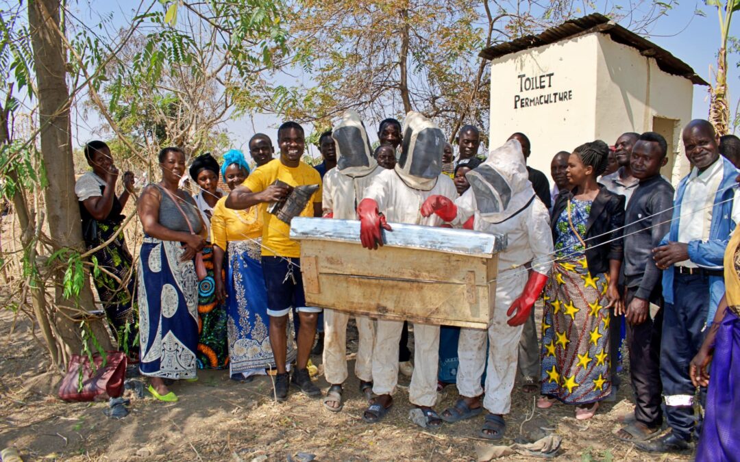 Day Three of Beekeeping Training in Madisi Dowa: Deep Dive into Hive Management and Honey Harvesting