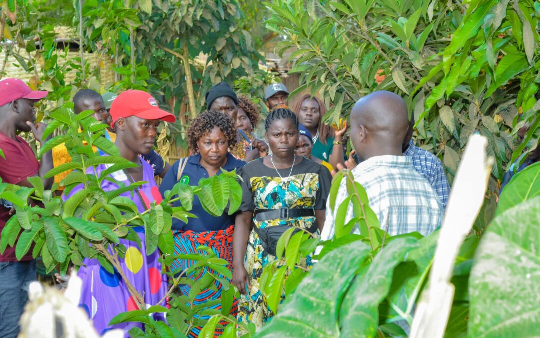 Empowering Communities: Day Four of the Permaculture Training Course on Efficient Energy Zone Planning