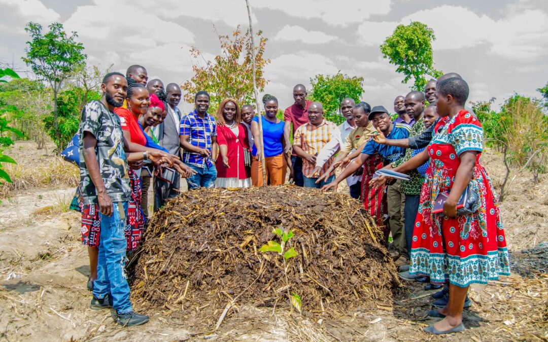 Day Two of Permaculture Training: Exploring the Science of Soil and Sustainable Management Principles